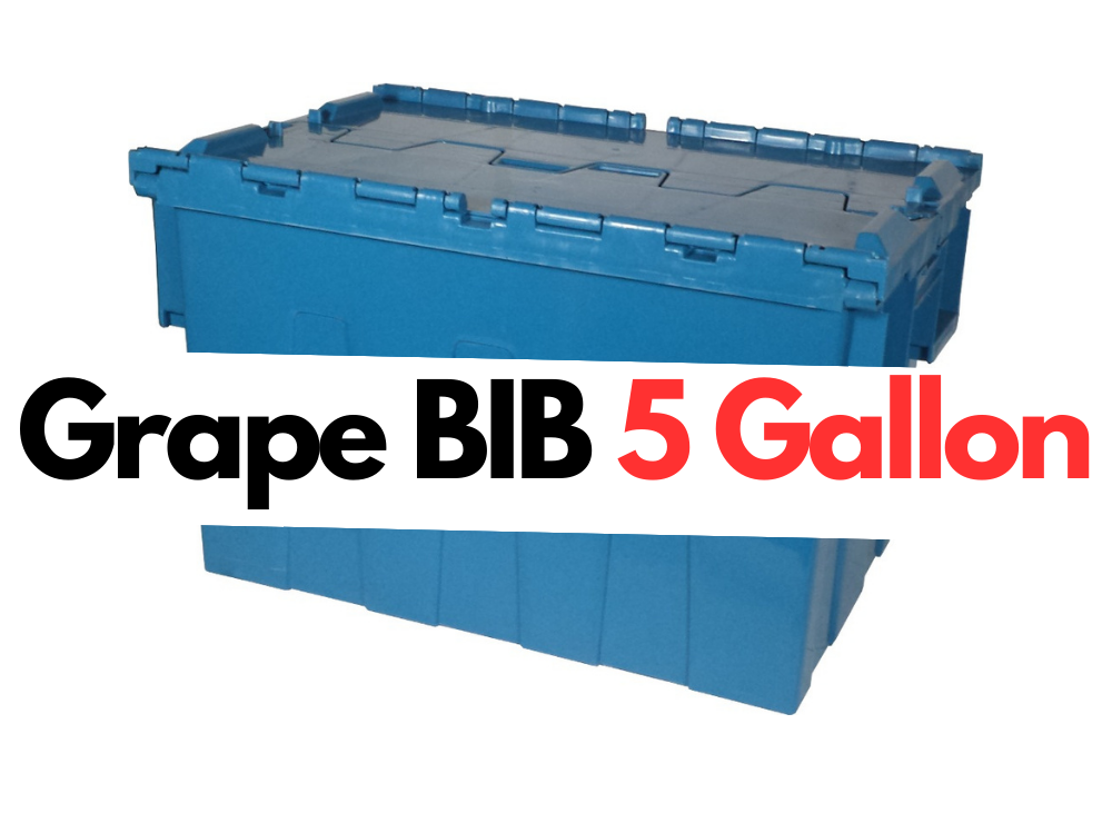 Grape BIB 1/5 Gallon